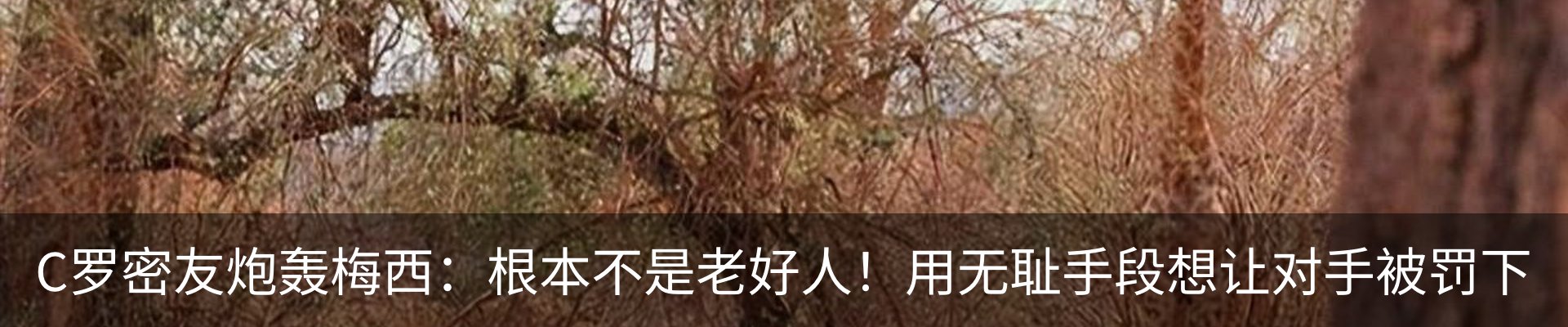 内页banner